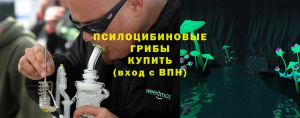 ГАЛЛЮЦИНОГЕННЫЕ ГРИБЫ Бородино