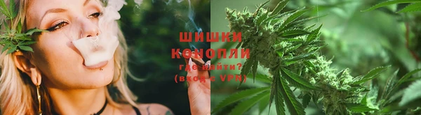 ГАЛЛЮЦИНОГЕННЫЕ ГРИБЫ Майский