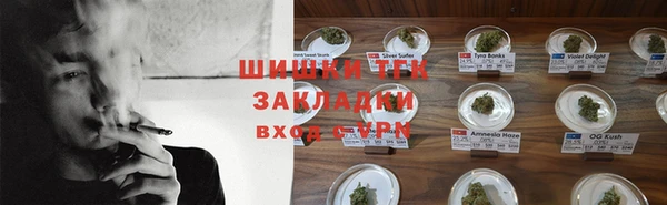 ГАЛЛЮЦИНОГЕННЫЕ ГРИБЫ Майский