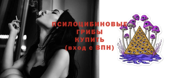 ГАЛЛЮЦИНОГЕННЫЕ ГРИБЫ Майский