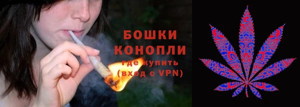 ГАЛЛЮЦИНОГЕННЫЕ ГРИБЫ Майский