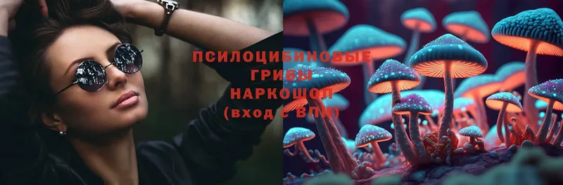 Галлюциногенные грибы Magic Shrooms  Вичуга 