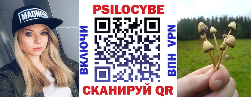 где продают   МЕГА tor  Псилоцибиновые грибы Cubensis  Вичуга 