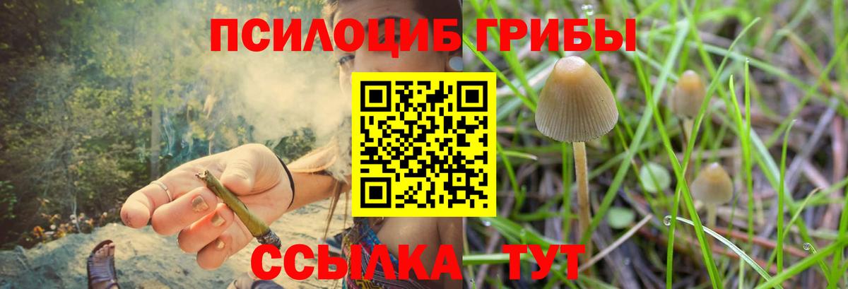 Вичуга  Псилоцибиновые грибы Psilocybe  Вход с VPN  Псилоцибиновые грибы ЛСД 